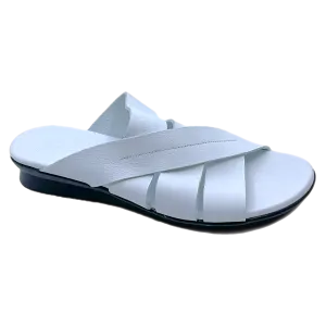 Arche aurbha